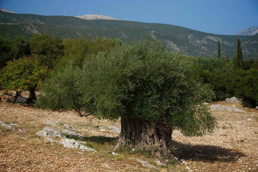 Chaliotata Sunrise Villa מראה חיצוני תמונה