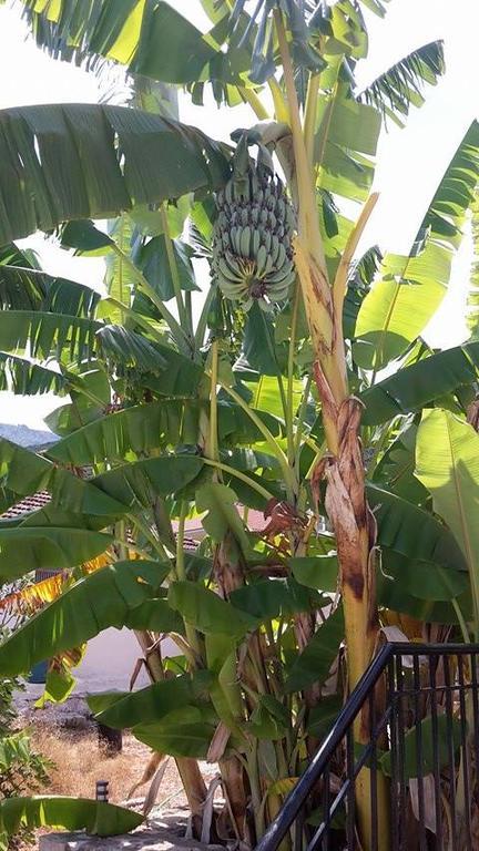 Chaliotata Sunrise Villa מראה חיצוני תמונה